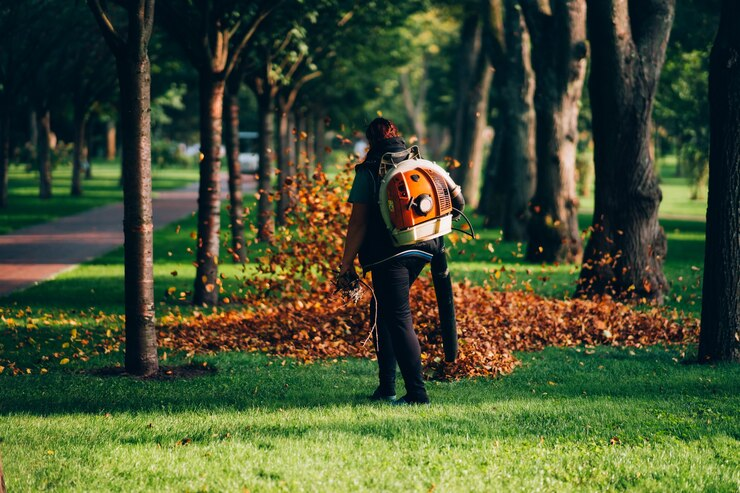 Lawn Leaf Removal