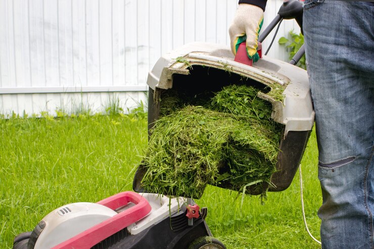 fall leaf clean up