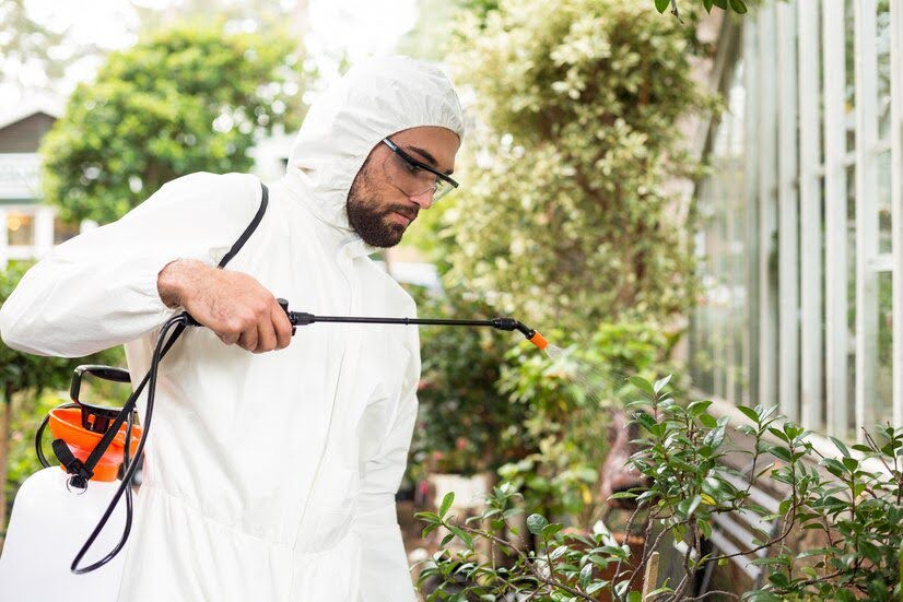 Pest & Mosquito Control