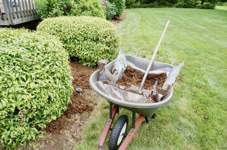 Lawn Weed Control