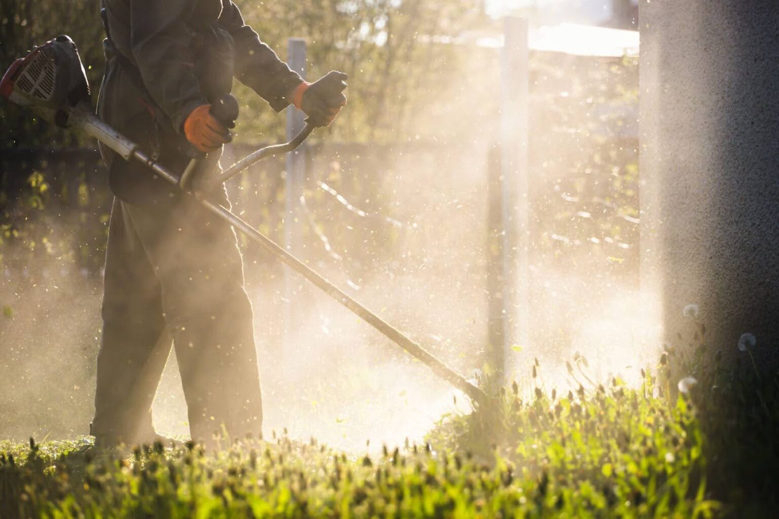 Lawn Weed Control