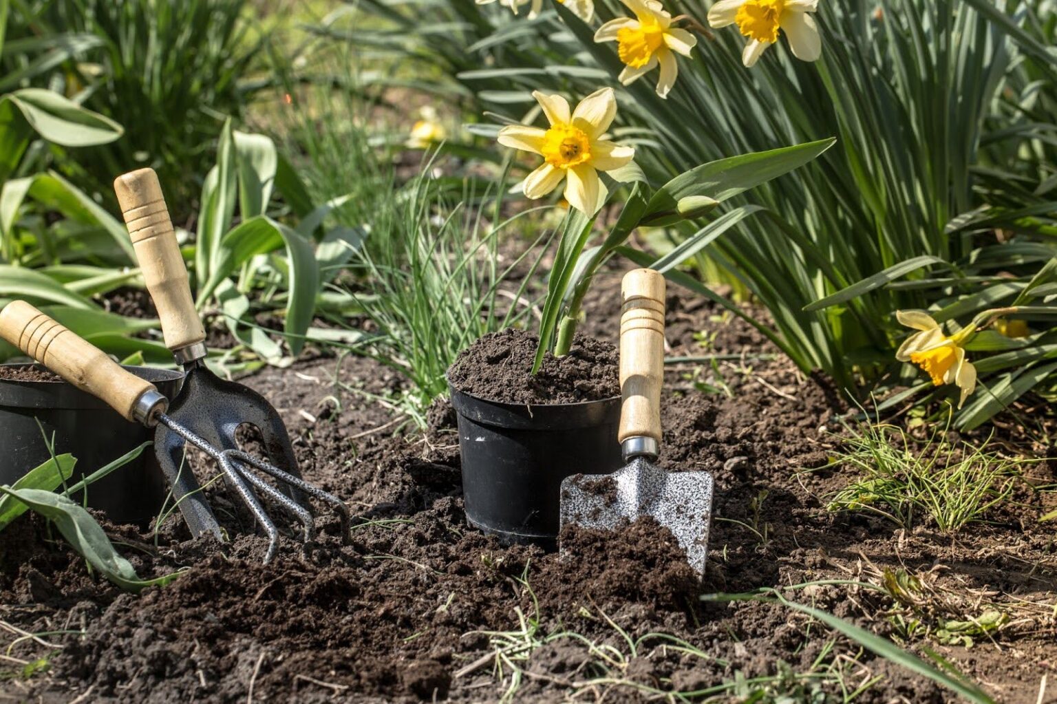 Weeding Flower Beds