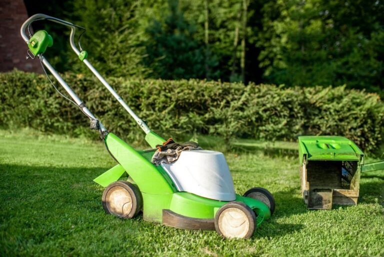 Irrigation system service