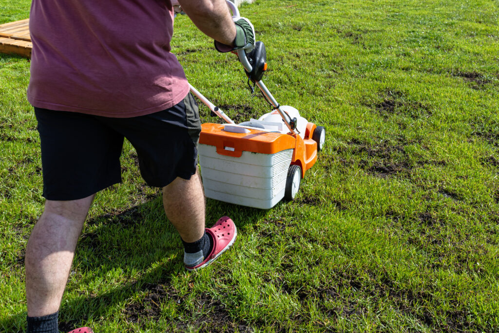 Lawn Seeding