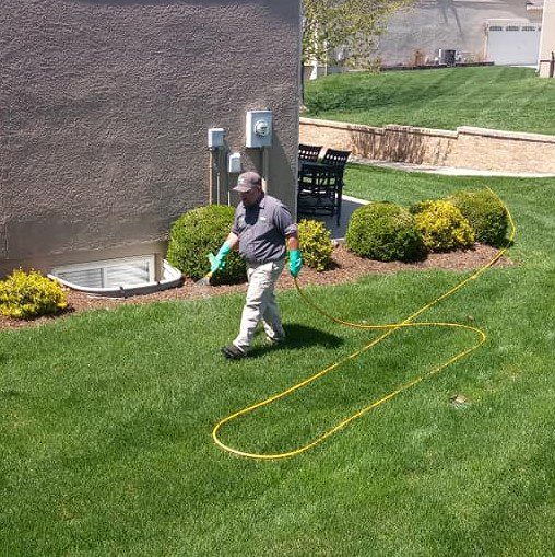 Man Watering The Green Grass