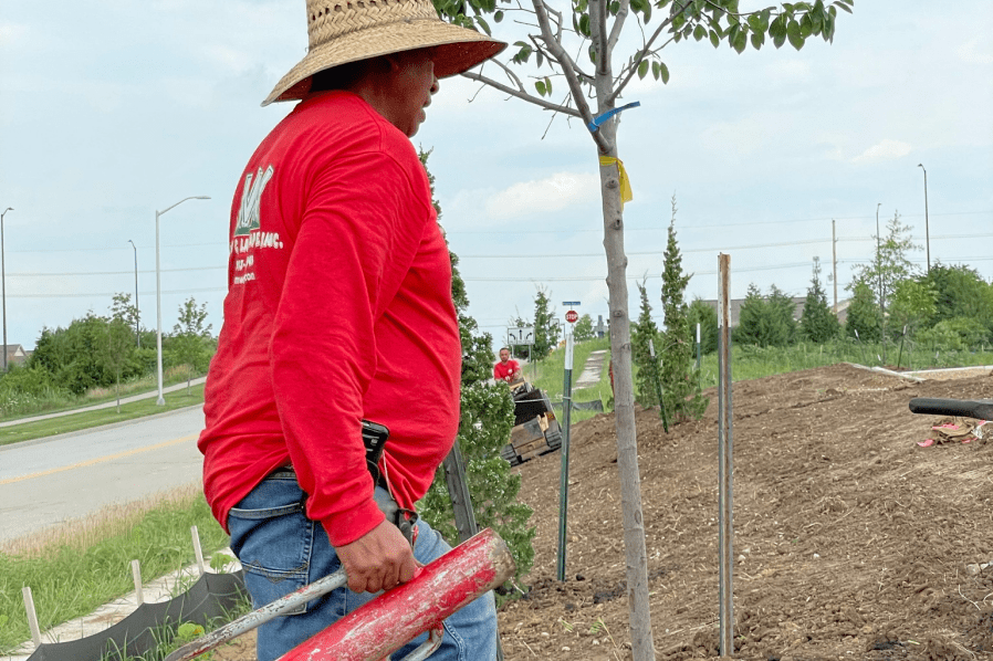 Gardening Man