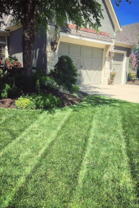 Lawn care services Mission Hills KS