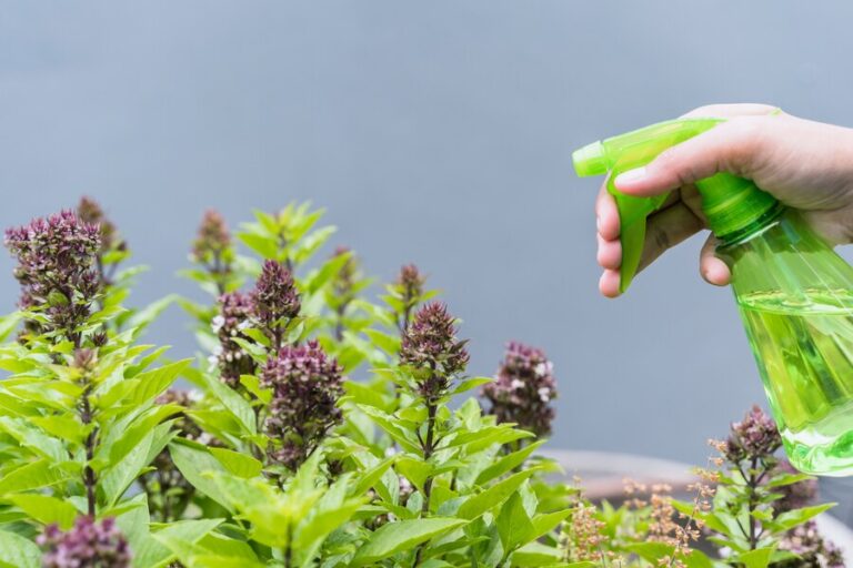 Weeding Flower Beds