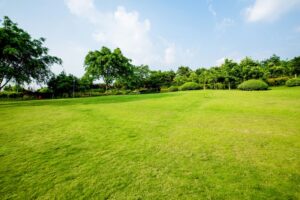 Landscape Maintenance