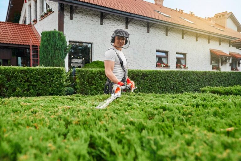 Lawn Leaf Removal