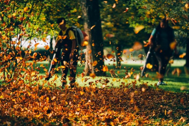 Leaf Blowing Service