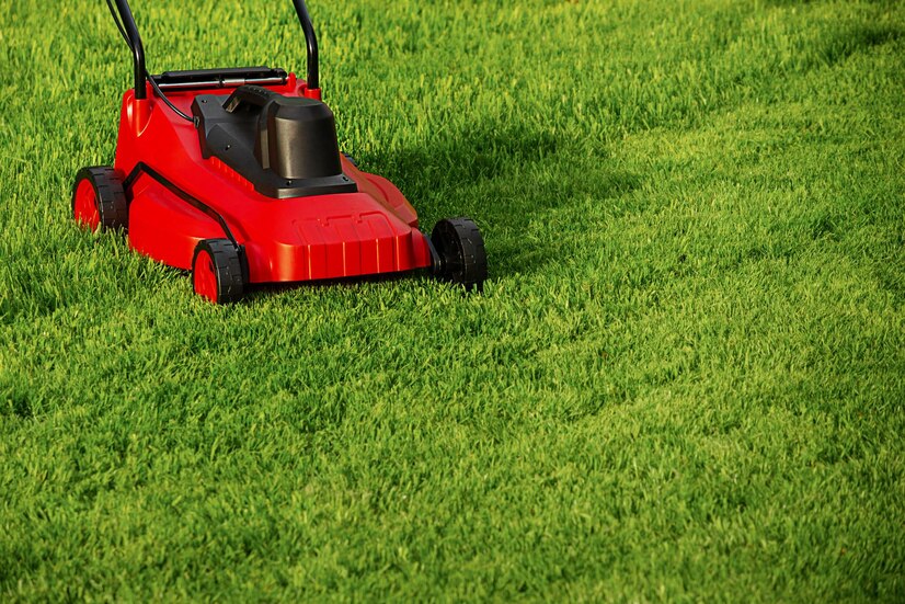 Lawn Renovations