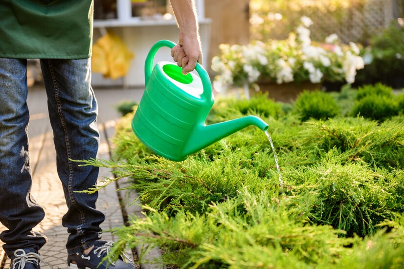 Flower Planting