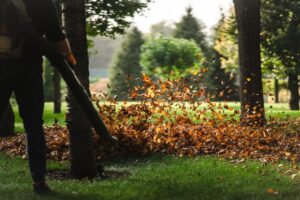 Yard Cleanup and Leaf Removal