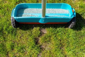 Lawn fertilization