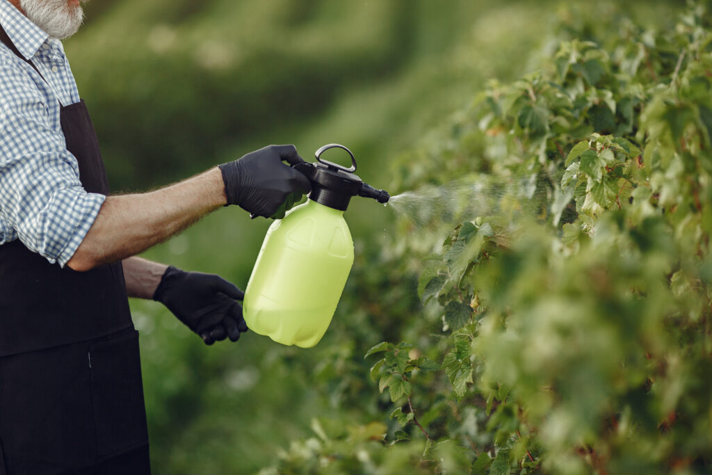 Best mosquito yard treatment service