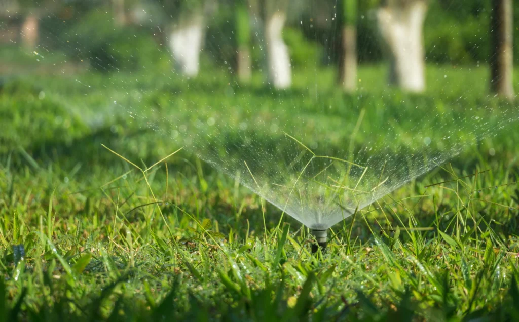Lawn-Maintenance Services