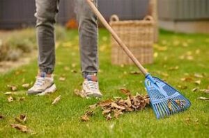 Leaf Removal Service