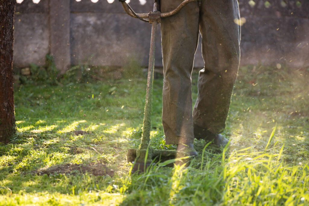Lawn Weed Control