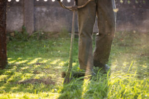 Lawn Weed Control
