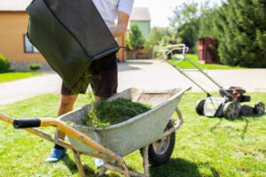 Lawn Care Fertilizer Service