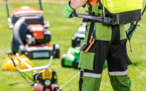 Lawn Mowing Services