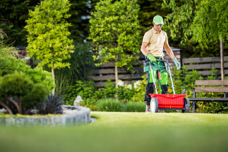 Lawn care services
