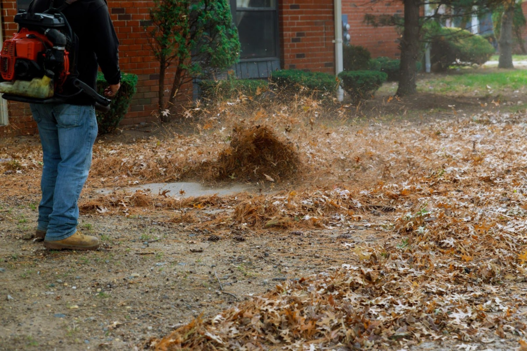 Leaf Removal Service