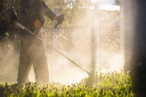 Lawn Renovations