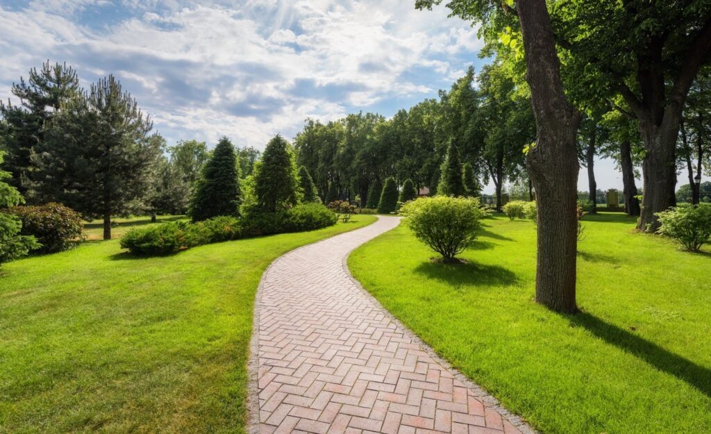 Lawn care services