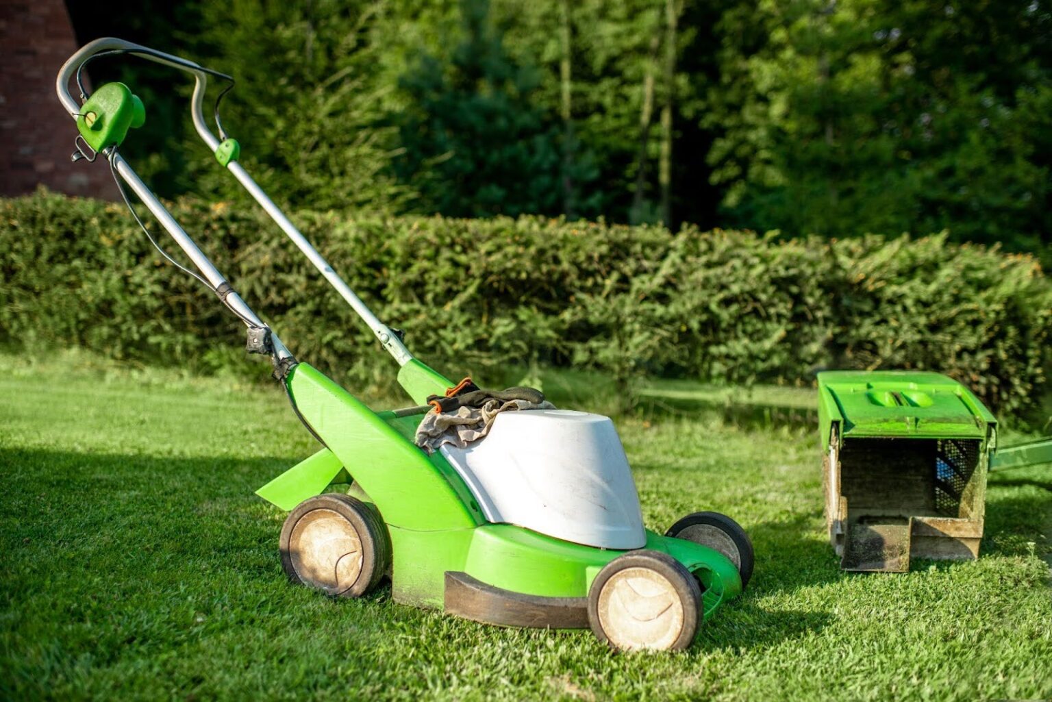 Irrigation system service