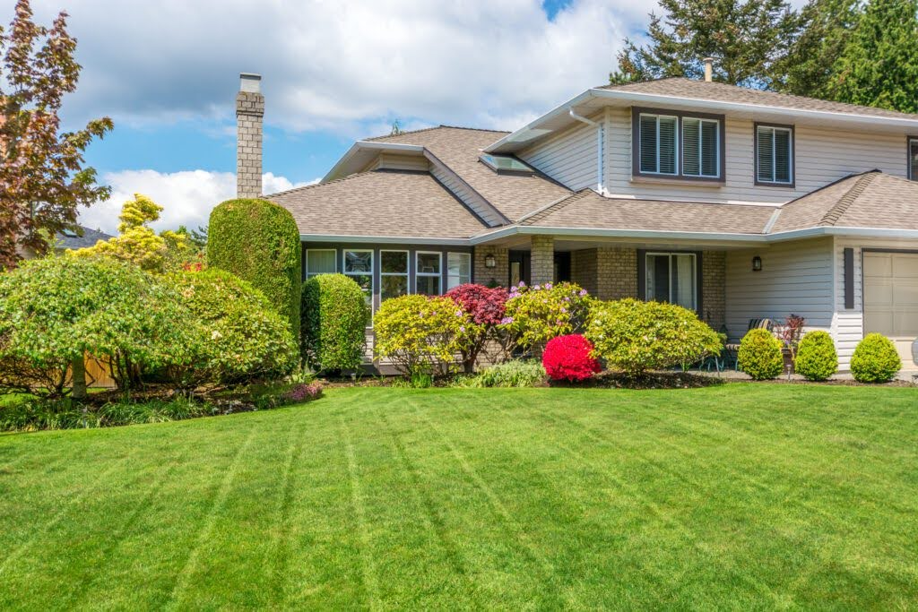 Landscape Services