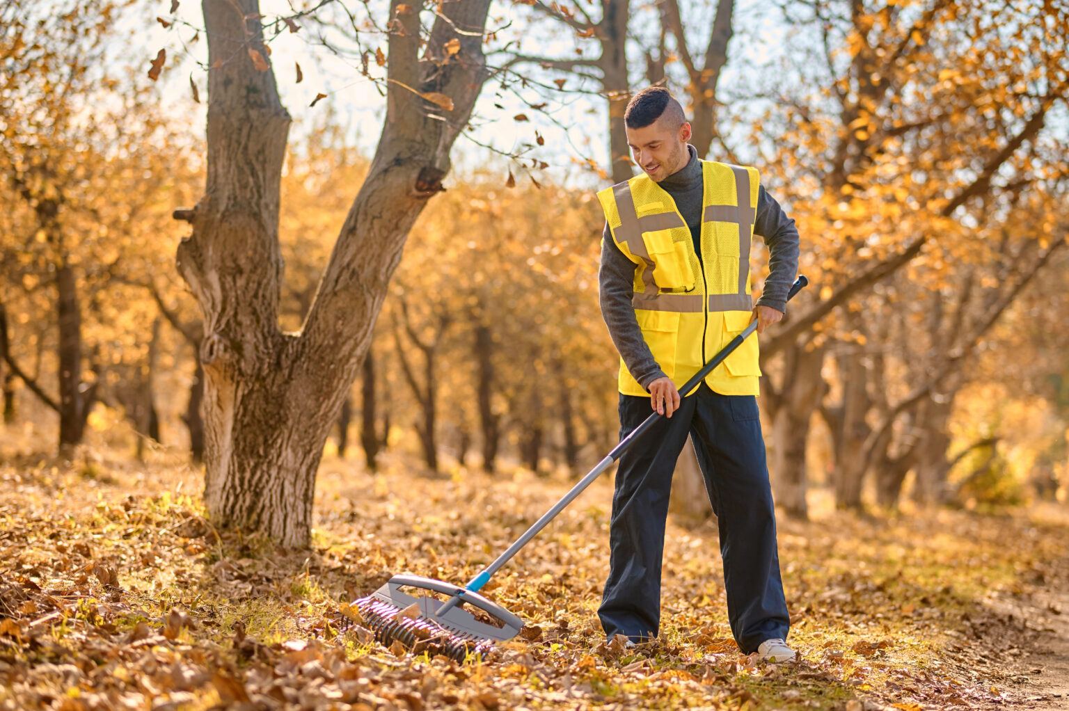 Leaf Removal Services