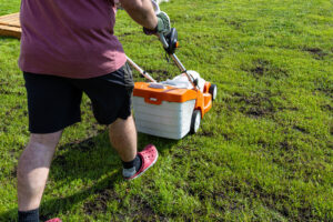 Lawn Seeding