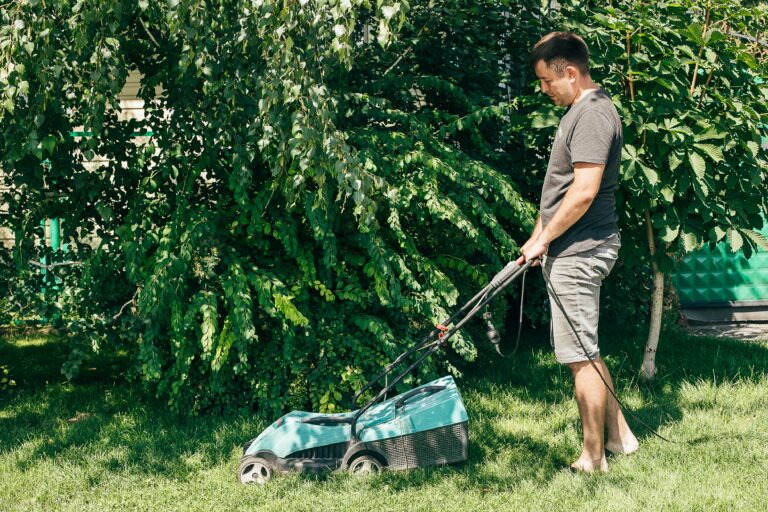 Mowing Service
