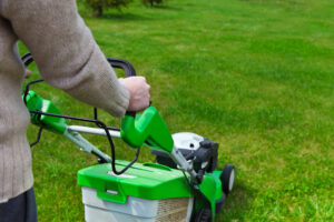 Aeration and Seeding