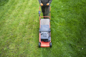 Weekly Lawn Mowing Service