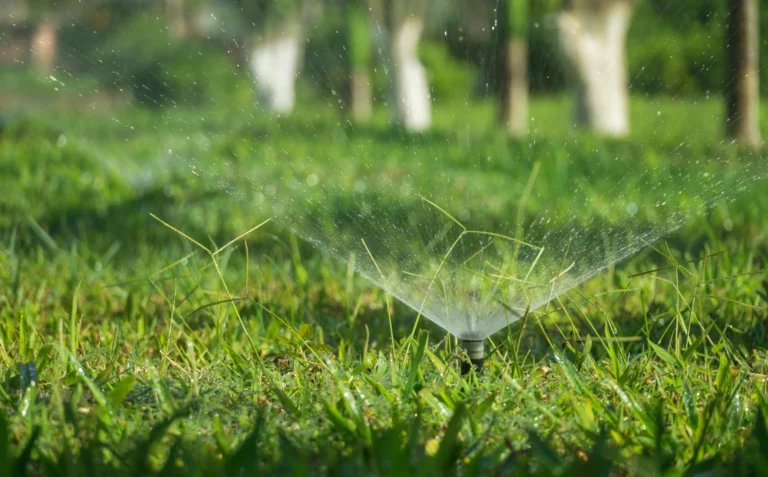 MW Lawn and Landscape
