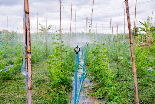 Drip Irrigation System
