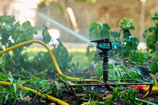 Lawn Irrigation Service
