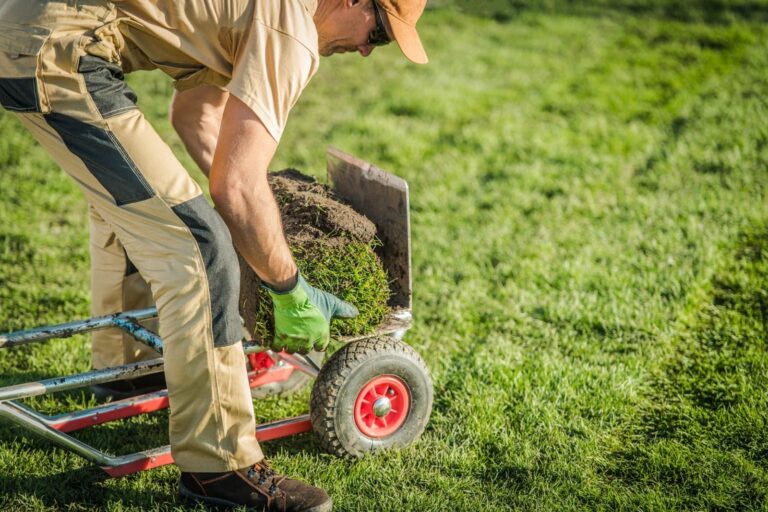 Lawn Care