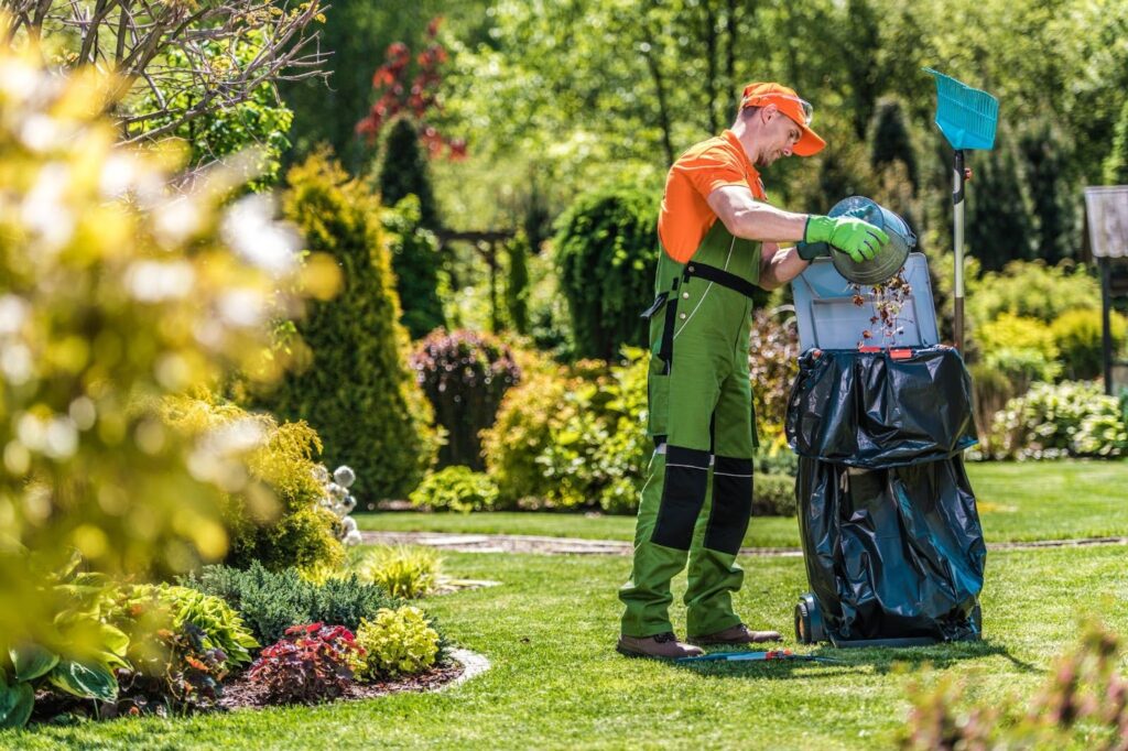 Yard Renovation