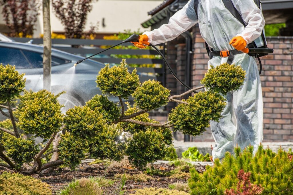 Structural Pest Control