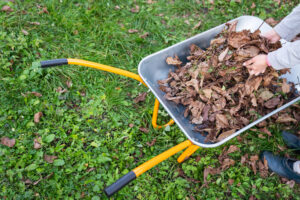 Leaf Removal Service