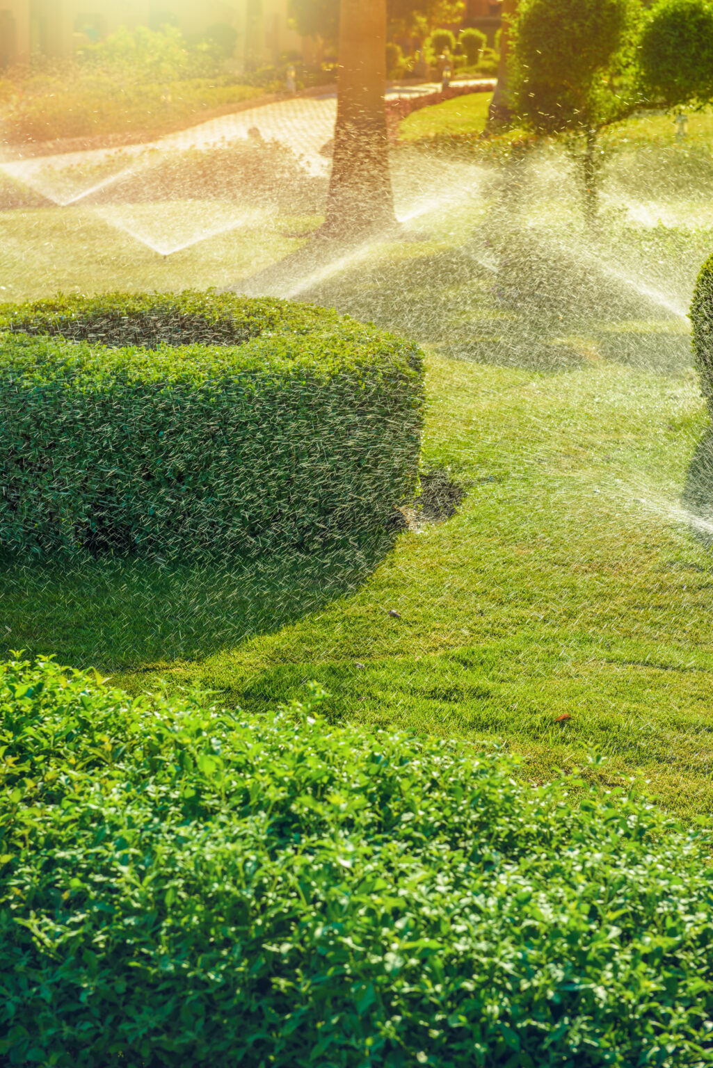 Irrigation System