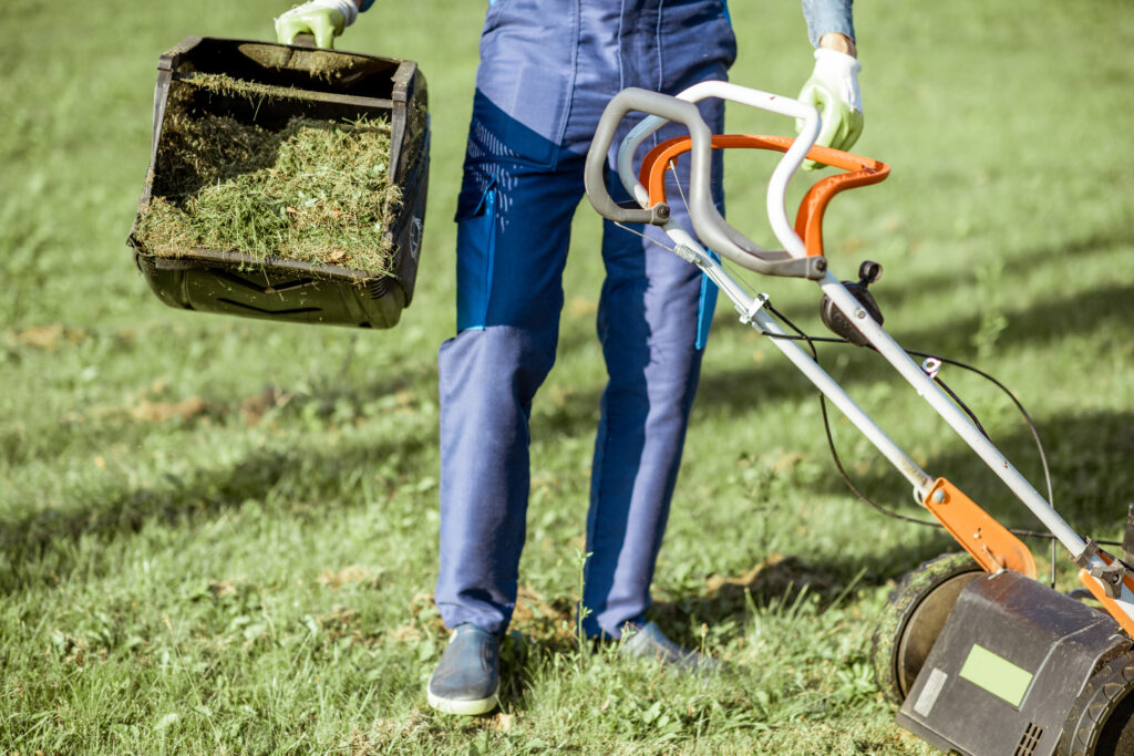 Leaf Mulching