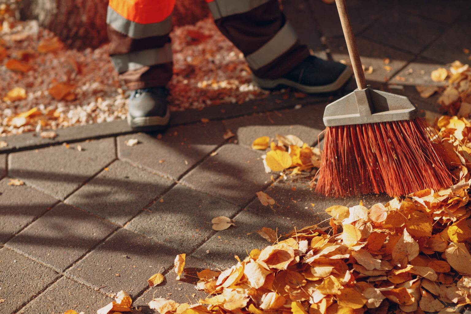 Leaf Removal Service