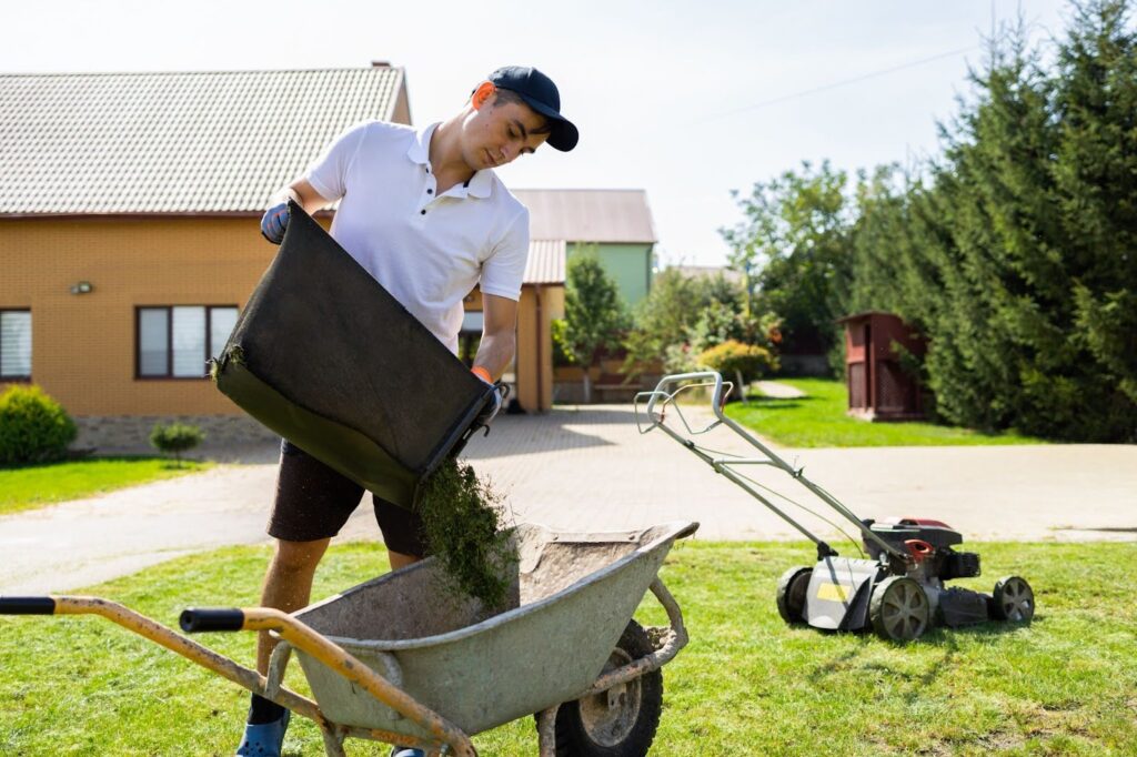 Lawn Care