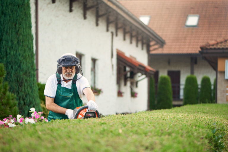Lawn Care Services