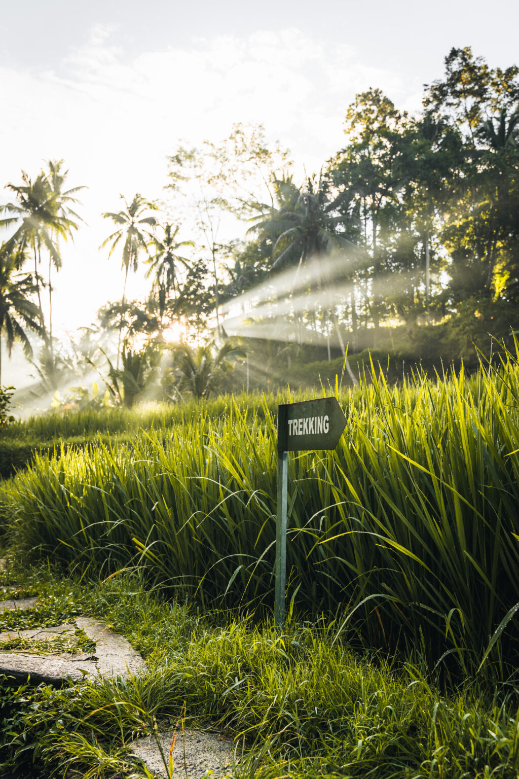 Irrigation System